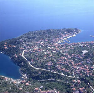 sali002.jpg