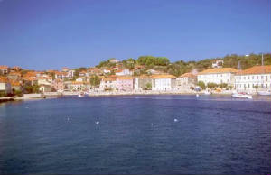 sali003.jpg