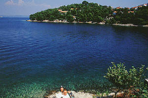 sali004.jpg