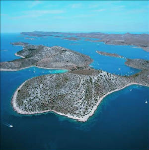 sali005.jpg