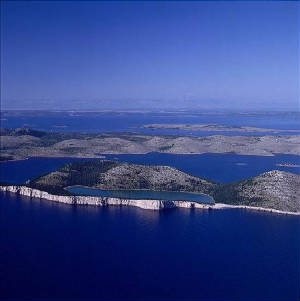 sali006.jpg