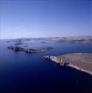 sali007.jpg