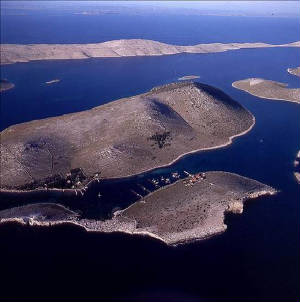 sali009.jpg